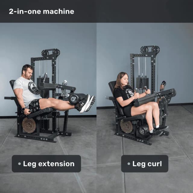 Bells of Steel Basilisk Leg Extension / Curl